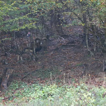 Chalet Ranch Verig Jajce